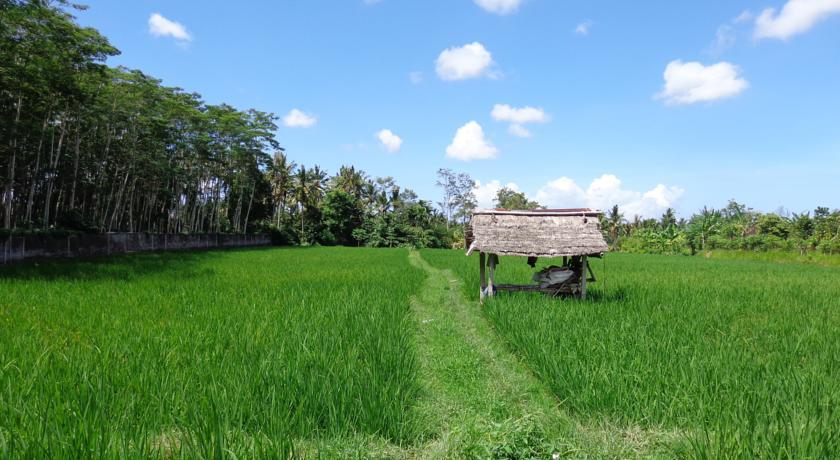 Angel House Ubud Eco Villa Экстерьер фото